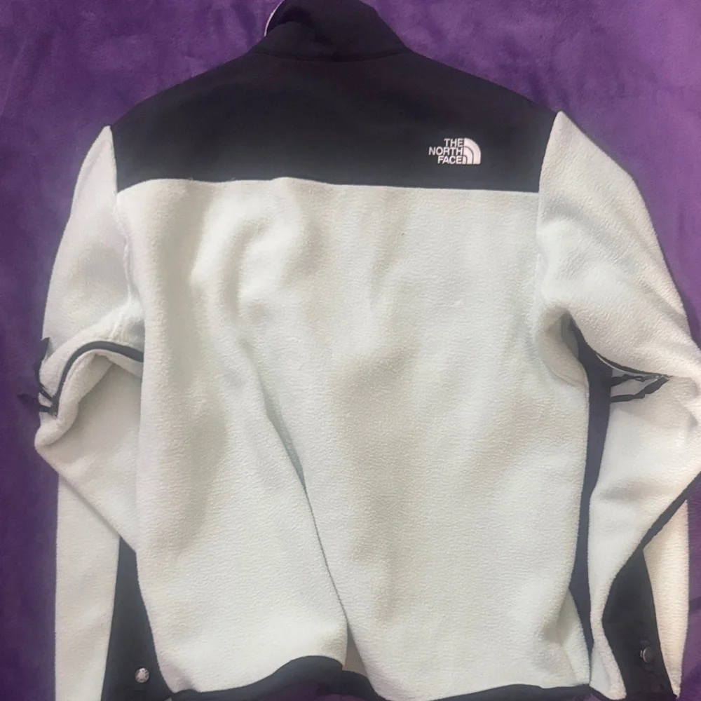 The North Face Mens 1995 Retro Green Mist Denali Jacket size large - Picture 4 of 12